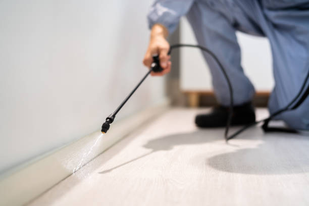 Licensed Pest Control service in Woodward, OK - Show Me Pest Control
